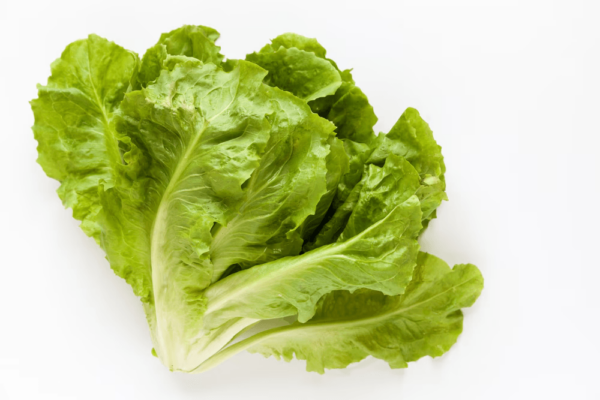 Scarola