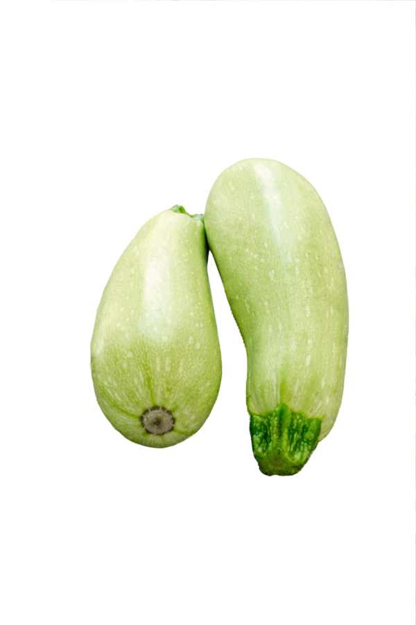 Zucchina Chiara