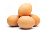 Uova fresche